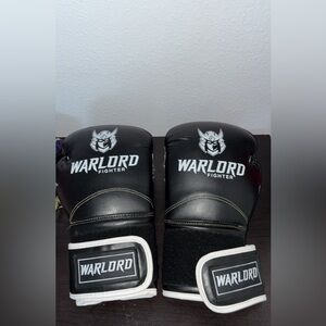Warlord Fighter Black Boxing Gloves